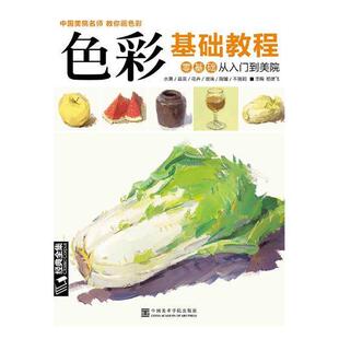 色彩基础教程杨建飞 色彩学教材艺术书籍