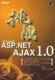 挑战Microsoft ASP.NET AJAX 1.0  书 邓文渊 9787111240020 计算机与网络 书籍