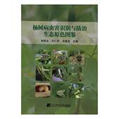 植物学 正版 韩国生 杨树病虫害识别与防治生态原色图鉴 书籍排行榜 包邮