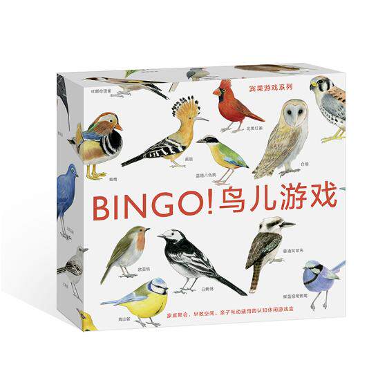 正版 BINGO！鸟儿游戏 (英)麦克·昂温文书籍 书
