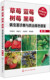 现代果树病虫害诊治丛书 病虫害及其防治 草莓蓝莓树莓黑莓病虫害诊断与防治原色图鉴 吕佩珂高振江尚春明等 书 第二版 正版