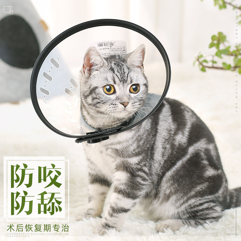 CAT COLLAR ELIZABETH CIRCLE HOOD DOG HOOD ANTI-BITE ANTI-LICKING PET NECK COLLAR SHAME COLLAR SMALL DOG