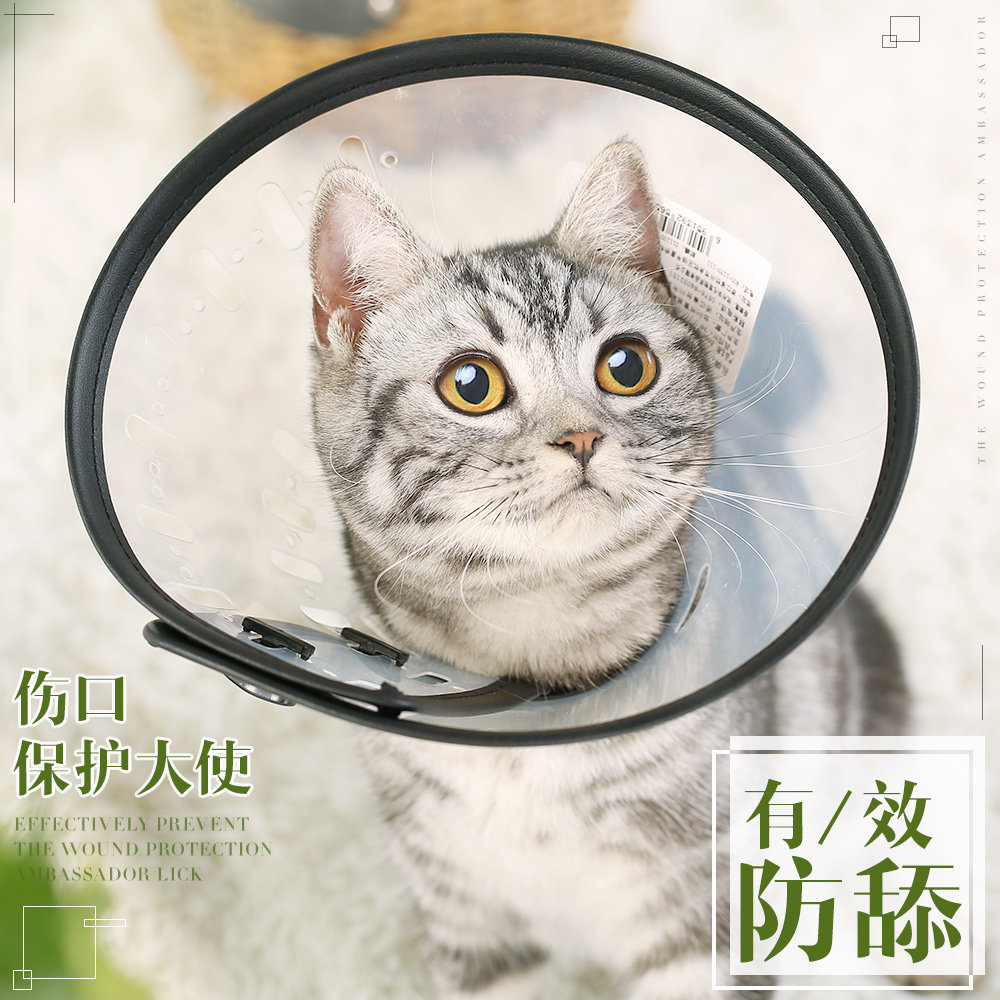 CAT COLLAR ELIZABETH CIRCLE HOOD DOG HOOD ANTI-BITE ANTI-LICKING PET NECK COLLAR SHAME COLLAR SMALL DOG