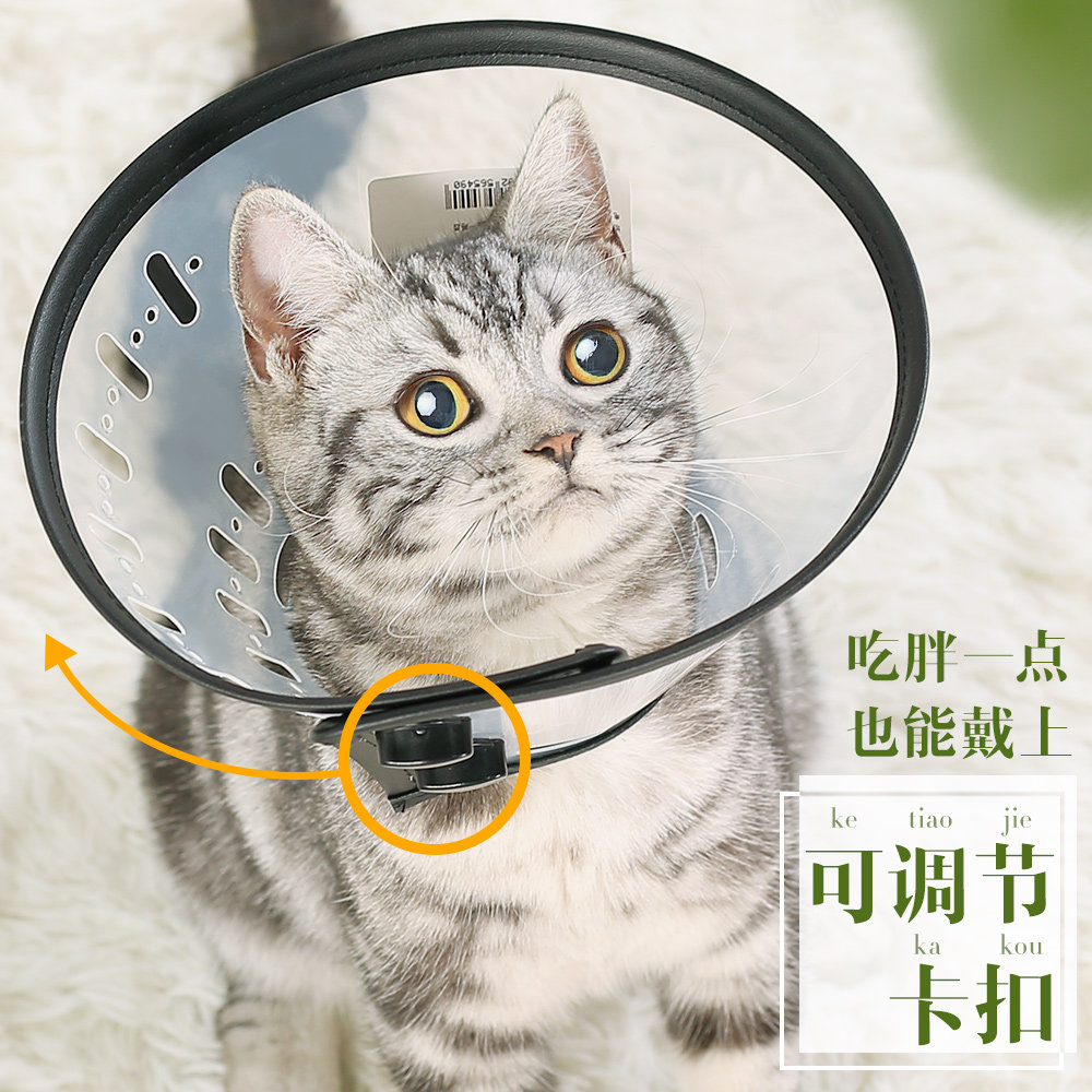 CAT COLLAR ELIZABETH CIRCLE HOOD DOG HOOD ANTI-BITE ANTI-LICKING PET NECK COLLAR SHAME COLLAR SMALL DOG
