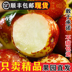 陕西大荔冬枣新鲜冰糖脆甜特大5斤包邮孕妇水果现货当季枣子顺丰