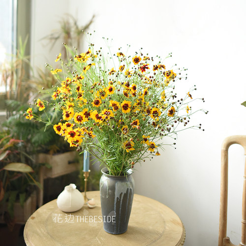 花边《夏日香气》黄色蛇目菊单品花束 家居瓶插花夏天氛围拉满