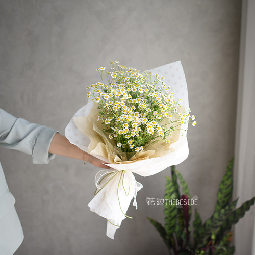 洋甘菊礼物母亲节鲜花