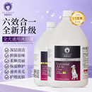 雪貂持久留香宠物沐浴露大桶狗狗通用洗澡香波泰迪金毛萨摩耶浴液