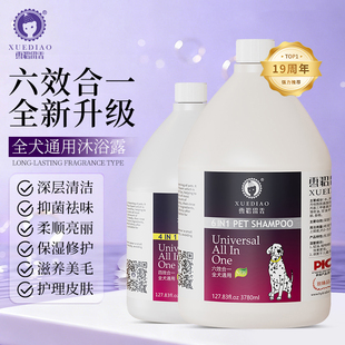 雪貂持久留香宠物沐浴露大桶狗狗通用洗澡香波泰迪金毛萨摩耶浴液