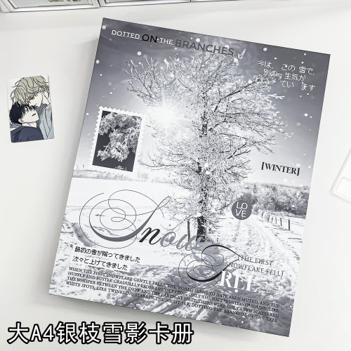 LOVELY 大A4雪树卡册九宫格3寸小卡追星专辑收纳拍立得6寸明信片