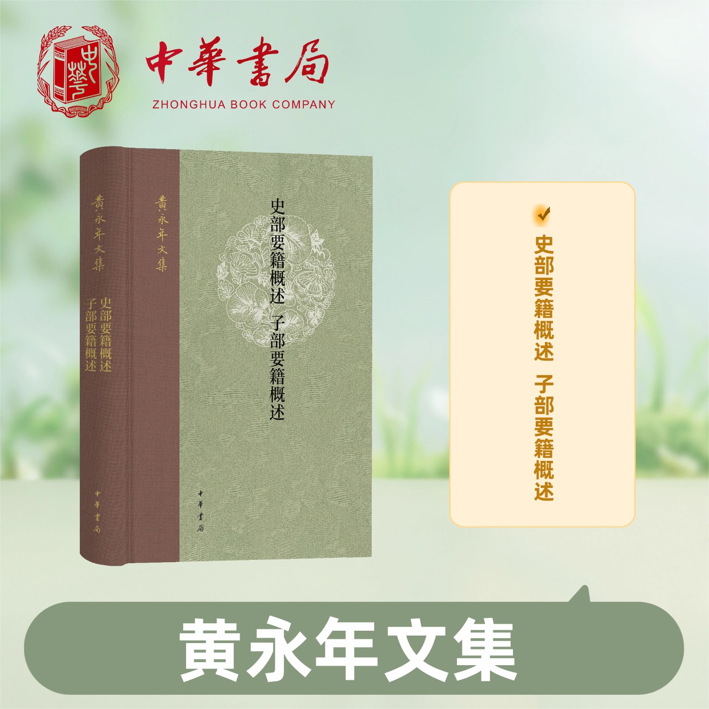 史部要籍概述 子部要籍概述 黄永年文集 史部明鉴子部析理—黄永年要籍双璧助您贯通传统学术脉络 中华书局