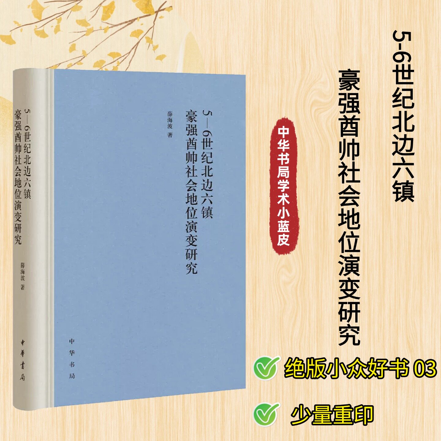 【绝版小众好书03 少量重印】5-6世纪北边六镇豪强酋帅社会地位演变研究(精) 薛海波著 历史研究史学理论书籍 中华书局