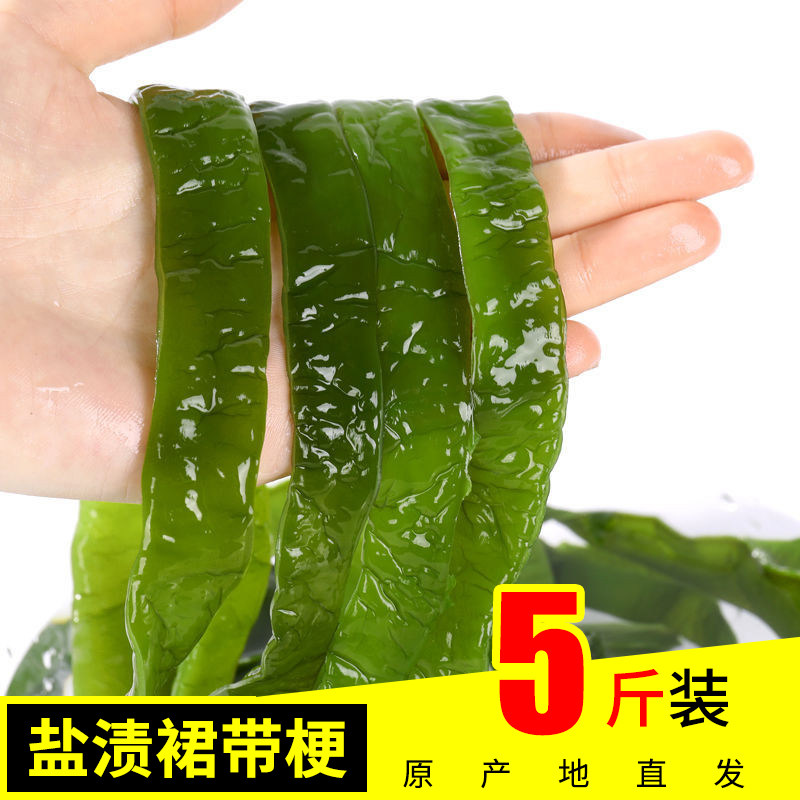 5斤 海白菜盐渍裙带菜梗海裙菜海菠菜非干货海藻整箱商用批发