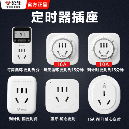 定时家用电瓶车电动车公牛