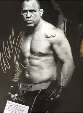 万德雷席尔瓦海报定制拳击UFC猿人MMA泰拳搏击综合格斗扇巴掌赛5