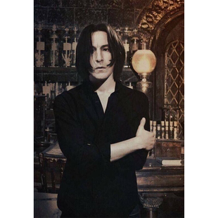 艾伦里克曼高清海报订做挂画相纸写真电影解密虎胆龙威神偷艳贼