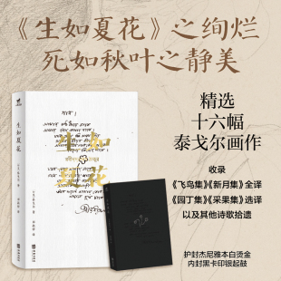 完整收录飞鸟集新月集 泰戈尔著 郑振铎译 正版 附录泰戈尔传等 插画版 选译园丁集采果集等 外国诗歌世界名著 生如夏花
