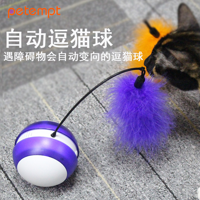 New type of electric pet cat toy for tumblers, cat teaser