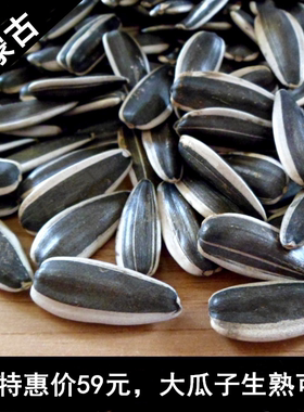生瓜子 特大颗粒 内蒙古生葵花籽366新货炒原味熟葵花子新鲜5斤装