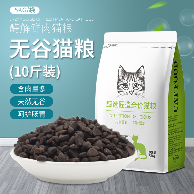 慕格三文鱼奶糕英短流浪猫