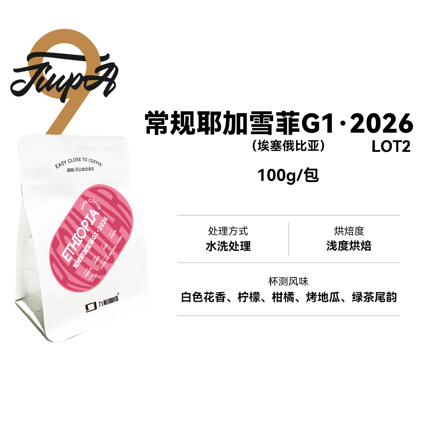 【阿本同款 常规耶加雪菲G1·2026】九帕 埃塞水洗浅烘单品咖啡豆