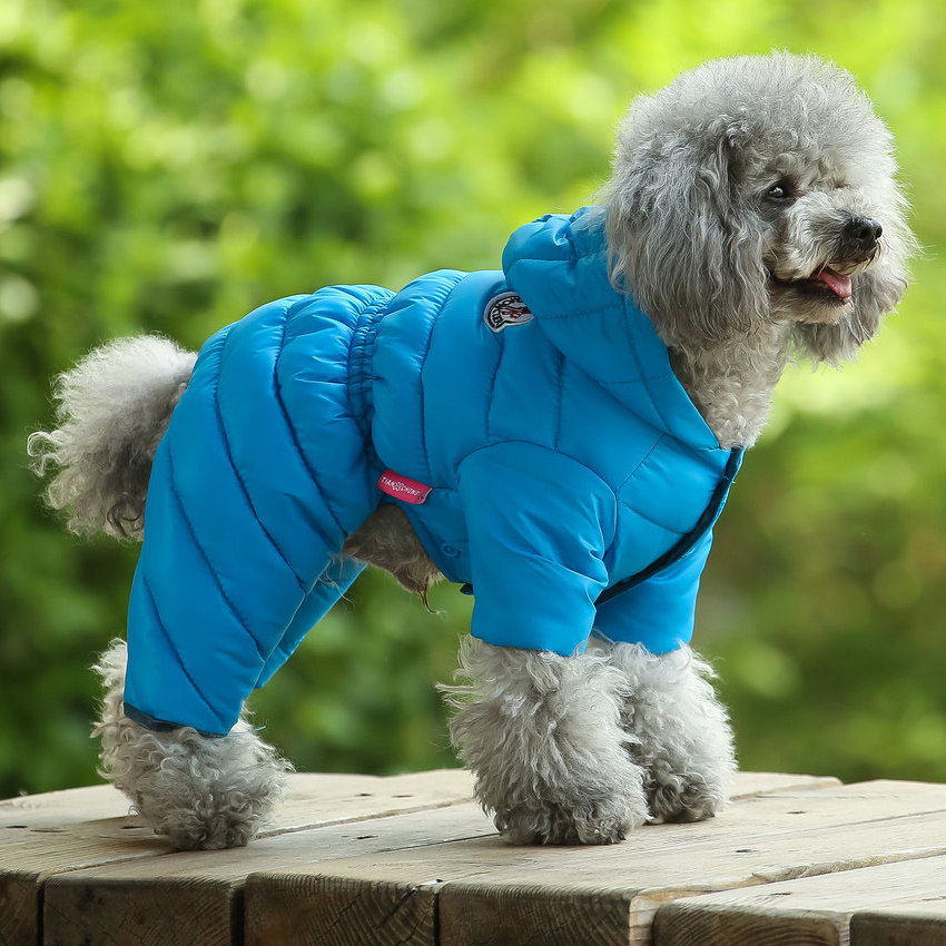 狗狗衣服秋冬装棉衣泰迪比熊博美小型犬四脚衣加厚冬季保暖羽绒服