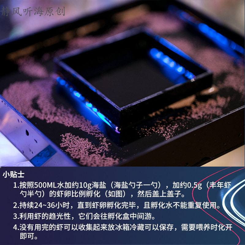 浅盘式自动出虾孵化盒虾卵分离 丰年虾孵化器 孵化丰年虾卵大红卵