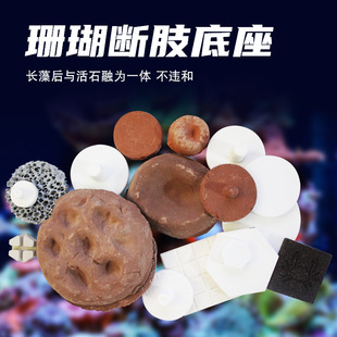 基座合集 脑珊瑚sps珊瑚断枝座 SPS 造景石垫高基座 珊瑚拼盘基座