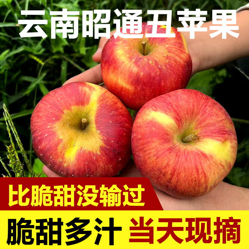 云南昭通丑苹果核心产区新鲜整箱