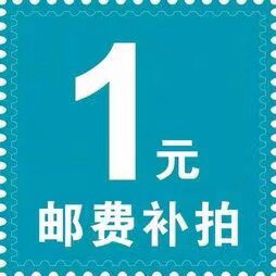 2024新款闪亮冰丝短袖女v领夏季针织白色T恤短 款半袖打底亮丝上