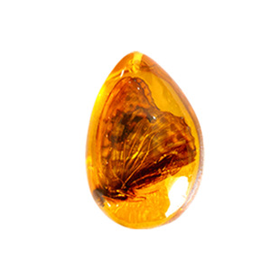 考古挖掘玩具琥珀昆虫标本挖宝石盲盒寻宝恐龙化石夜光男孩挖宝藏