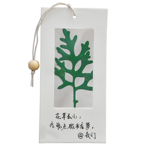 标本书签干花压手工diy材