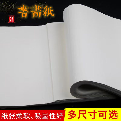 书法书画纸初学者练字作