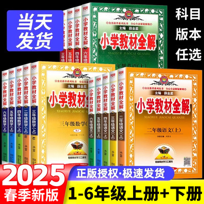 2025春季新版薛金星小学教材全解一二三四五六年级上册下册语文数学英语人教版北师大版教材同步讲解课本解读课堂笔记训练题练习册
