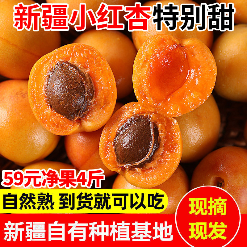 【59元4斤】顺丰包邮 新疆阿克苏小红杏子新鲜水果现摘吊干杏甜杏|msdalam kategori daging perikanan/Buah-buahan segar dan sayur-sayuran/dimasak, buah-buahan segar, lain - dari Buy2taobao.com untuk memberikan perkhidmatan ejen Taobao profesional membeli