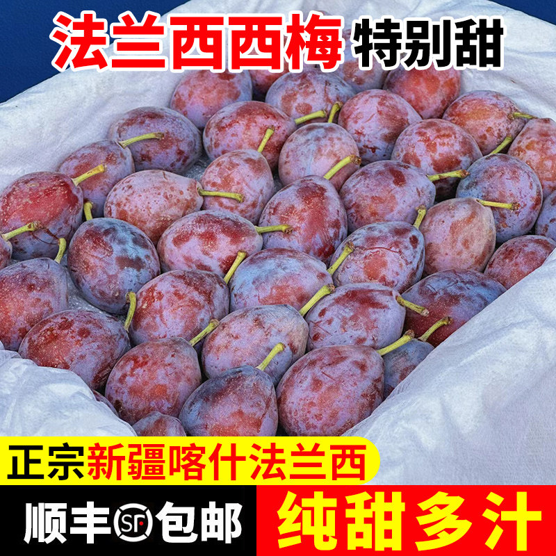 【顺丰彩箱】正宗新疆法兰西西梅李子新鲜水果2026现摘喀什甜西梅