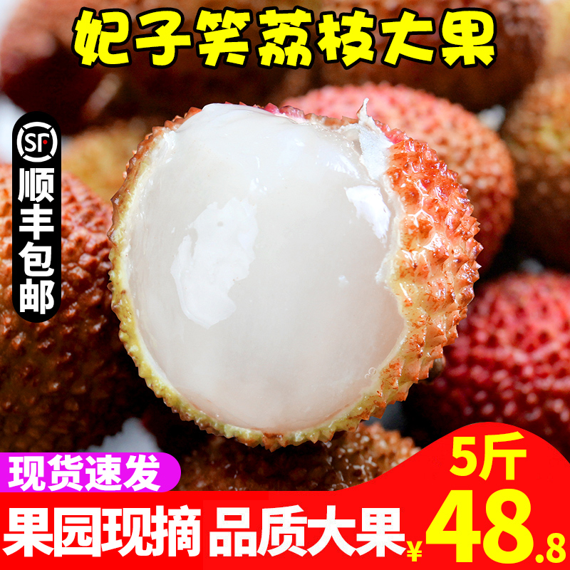 顺丰包邮 妃子笑荔枝新鲜包邮5斤时令水果荔枝当季水果现摘白糖罂