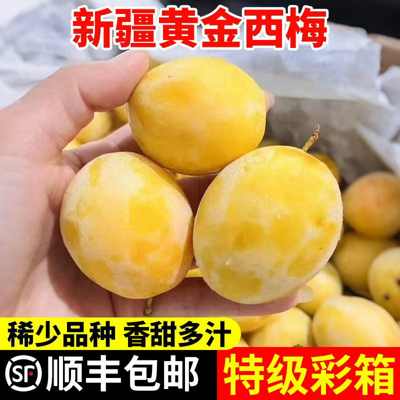 【顺丰彩箱】新疆喀什黄金西梅李子新鲜水果2026现摘西梅特大果