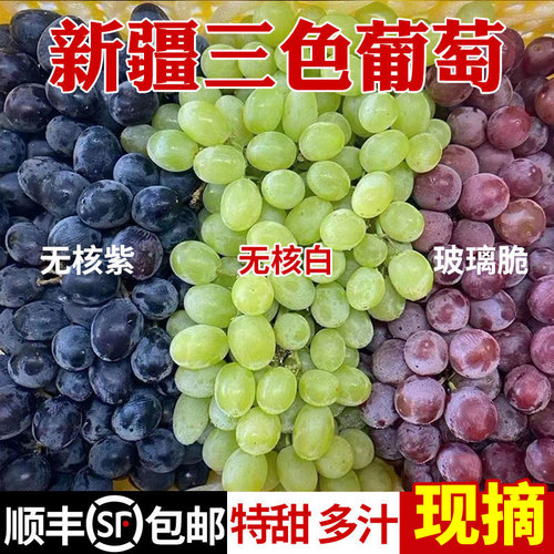 顺丰包邮新疆三色葡萄
