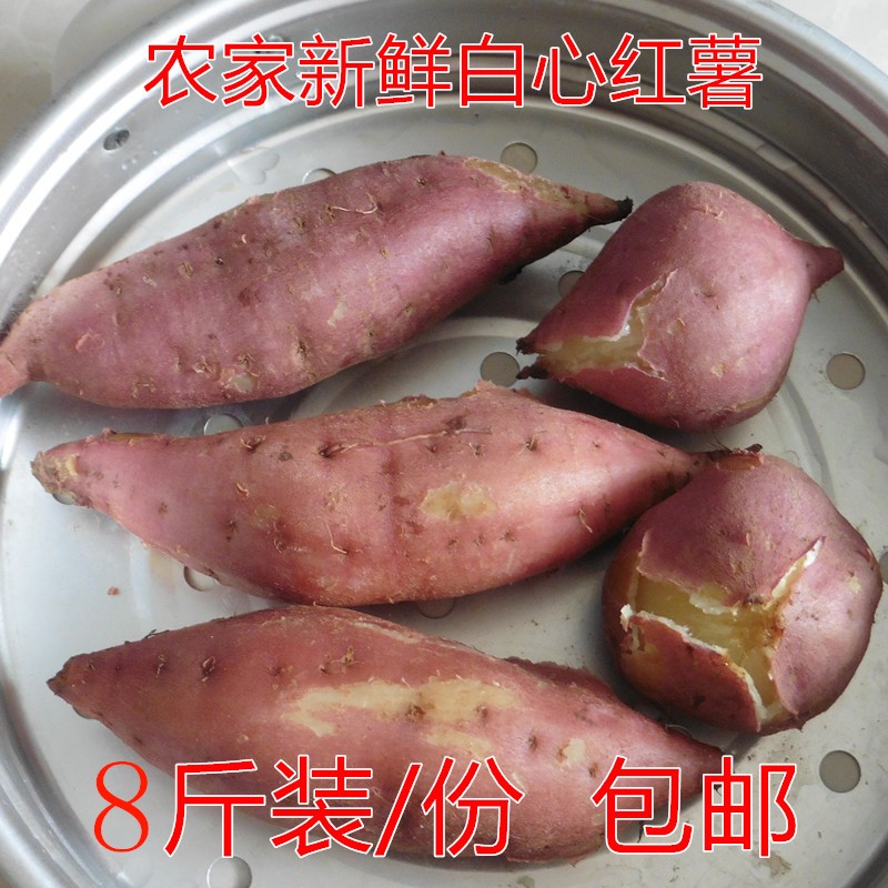 18年9月现挖新鲜红皮白心红薯农家自种甜面粉糯烤番薯地瓜山芋8斤