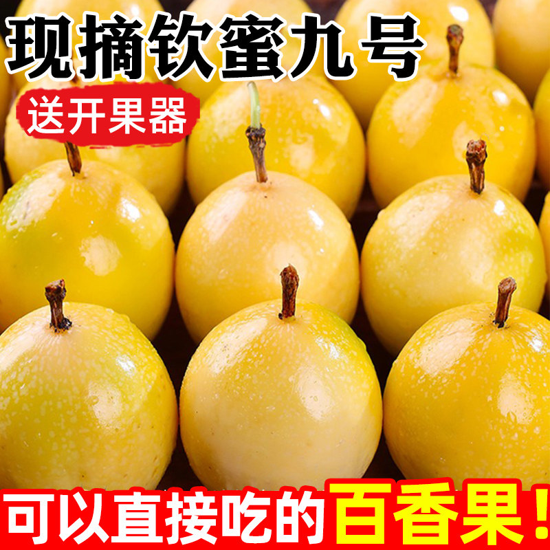 正宗钦蜜9号黄金百香果