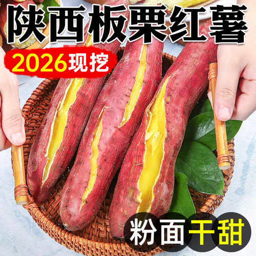 【粉面甘甜】现挖陕西板栗红薯