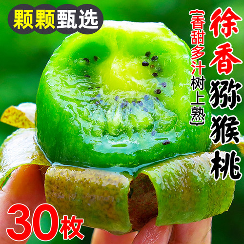 【热卖推荐】2026徐香猕猴桃