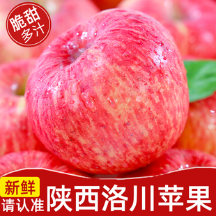 正宗陕西洛川苹果新鲜水果当季整箱脆甜红富士冰糖心一级年货礼盒