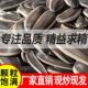 亲哥俩2025年新炒瓜子原味葵花子500克大颗粒大包装 零食瓜子东北