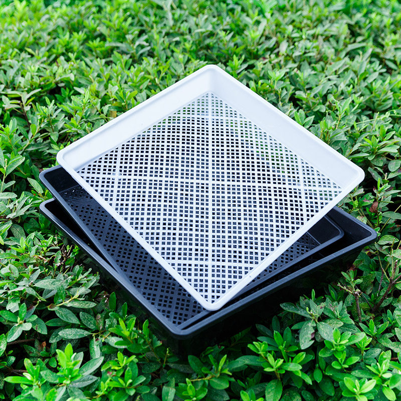 育苗托盘种植盆石斛蔬菜植物育苗盘玛咖盘长方盘正方盘多肉周转盘