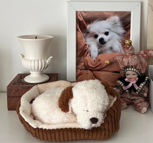 安抚玩偶小狗毛绒JELLYCAT