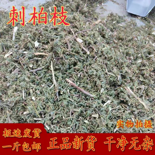 冷背中药材店铺 刺柏叶 刺柏枝 刺柏干叶 500克包邮