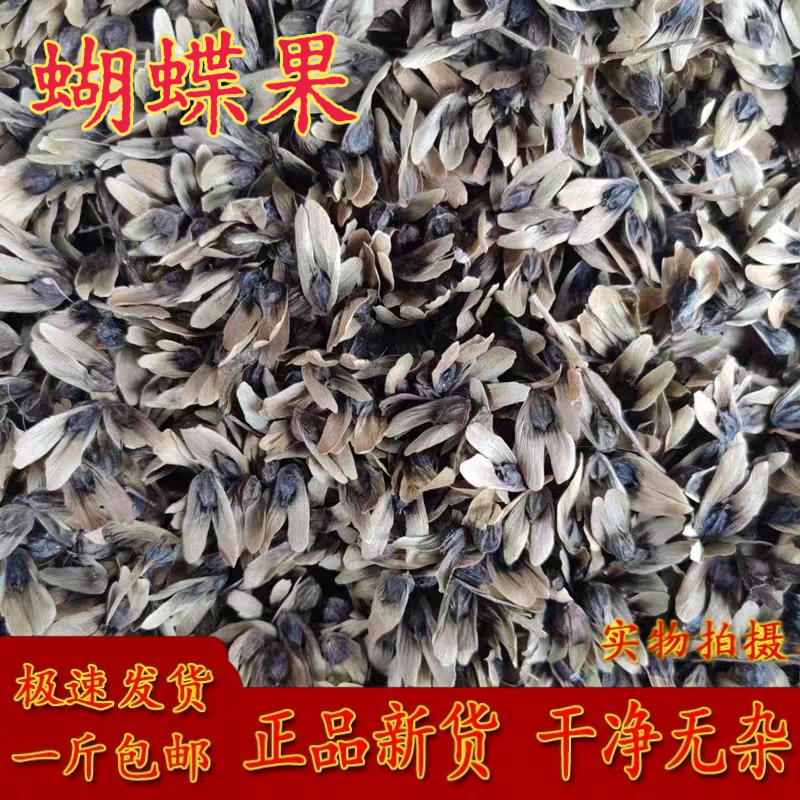 蝴蝶果中药材 密壁 猴果 山板粟 红翅槭500克包邮