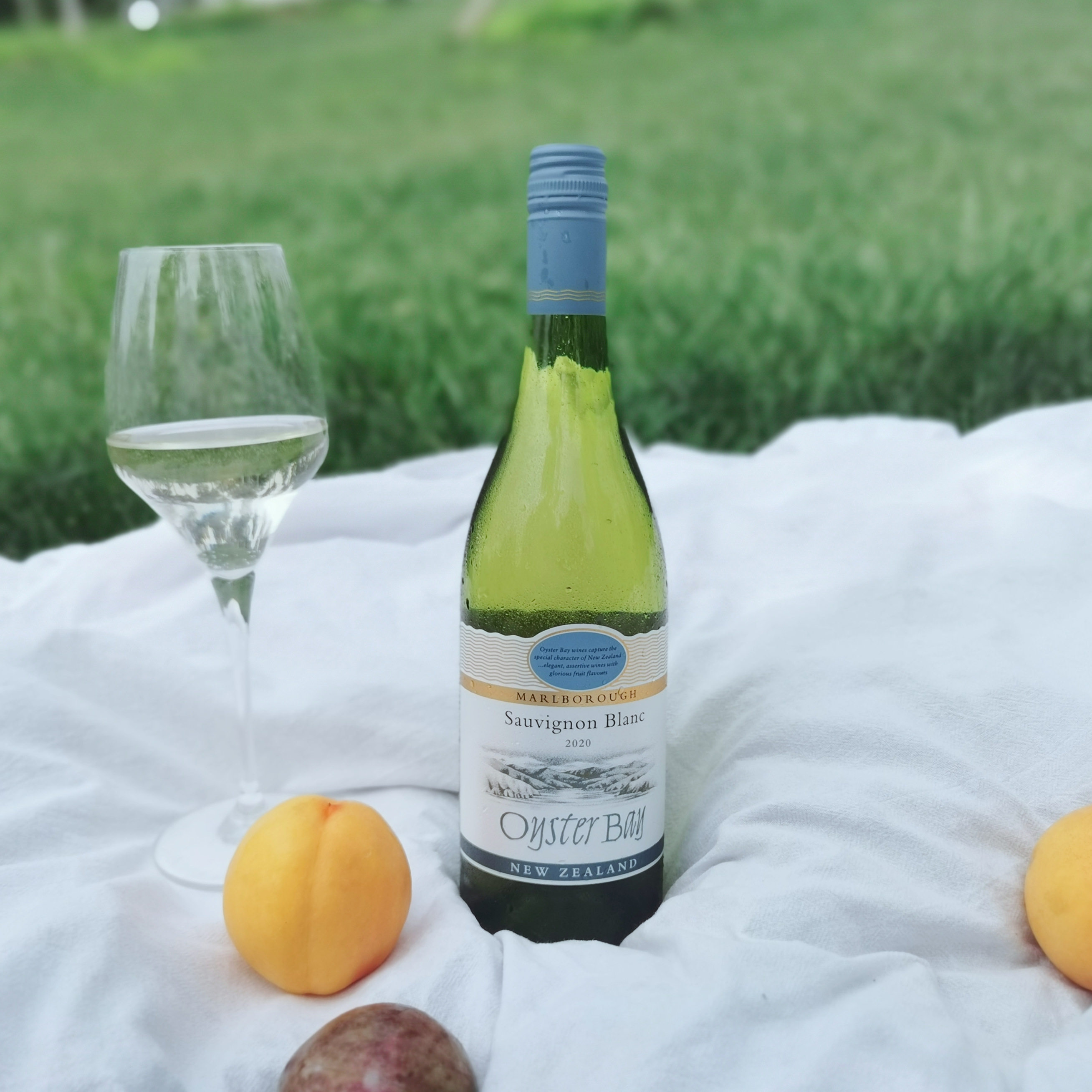 蚝湾马尔堡长相思新西兰oysterbay百香果清爽白葡萄酒2022新年份